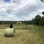 Glamping Na Samote U Lesa אוהל מפואר *