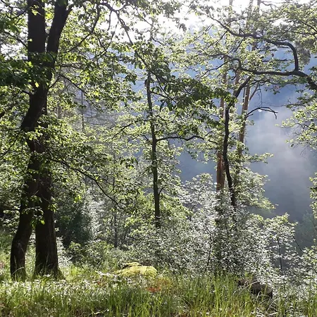 Glamping Na Samote U Lesa *